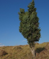 /album/fotogaleria/img-0866-jpg/