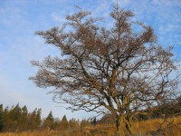 /album/fotogaleria/img-0899-jpg/