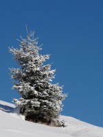 /album/fotogaleria/p1010721-jpg/